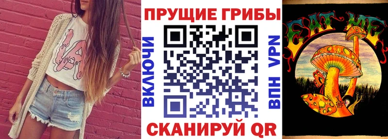 MEGA как зайти  Подольск  Псилоцибиновые грибы Cubensis 
